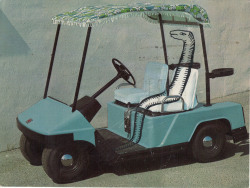 nevver:Snake in a golf cart, Ray Johnson