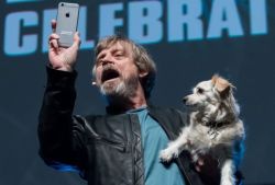 british-men-make-me-suffer:Things we don’t deserve: Mark Hamill