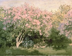  Claude Monet, 1872 ~ “Lilacs in the sun” 