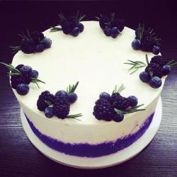 swankydesserts:Vanilla cheesecake with blueberries jelly