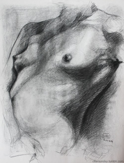 ottersunday: (i only draw boobs), charcoal, 18”x24”  fb | ello | insta | shop