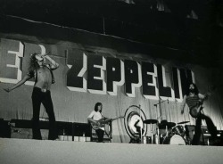 shopmidnightrider:  Led Zeppelin 