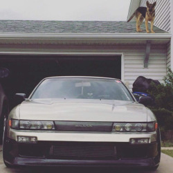 boostlust:   DriftCar and Dogs? Life Goals Achived.  