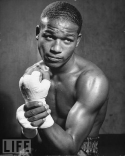 pictures-of-famous-boxers:  http://famousboxers.net/A young Sugar