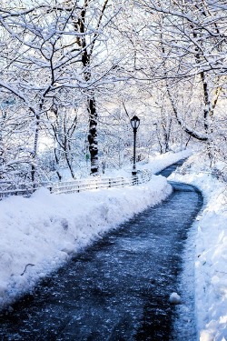 ponderation:  Snowy Path by AmalgamaPhoto  