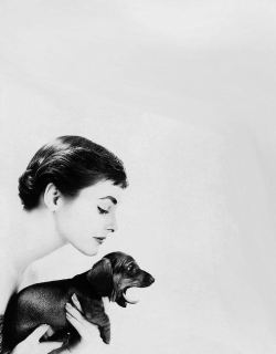 birdasaurus:  photo by Lillian Bassman, 1954 