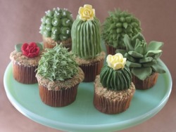 blueandbluer:  twinfiresouls:  House plant cupcakes  Those look
