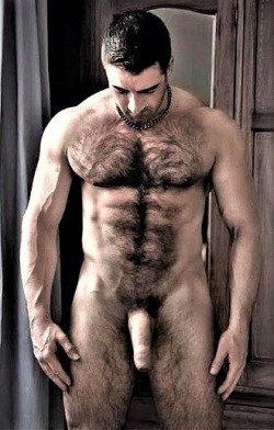 BearWindow