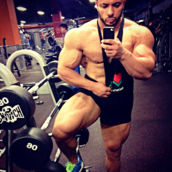 musclegods224:  Hassanoss