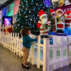 El mismo arbol de hace 1 año, ahora mi hija lo ve en su esplendor,