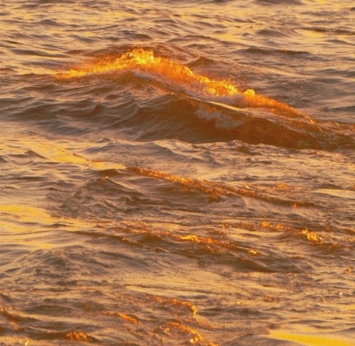 golden-bliss:  golden hour