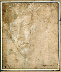   Sandro Botticelli - Head of an Angel   