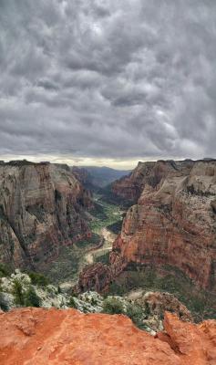 theencompassingworld:  Observation Point, Zion National Park,