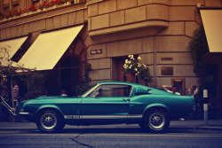 carpr0n:   	Starring: Shelby GT350  by Daniel Stocker 