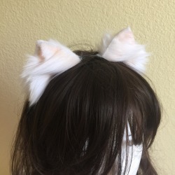 elizabethnoir:  little-honey-kit:  Srsly these ears though  SO