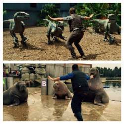 bastardlybrendan:  #Prattkeeping is getting big in the zookeeping