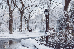 arunaea:  A Winter Wonderland in Central Park by Paris in Four