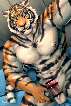 knoll-noru:Tiger