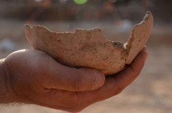 discoverynews:  Ancient Egyptian Beer-Making Vessels Found in