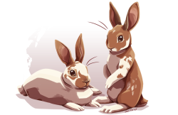 alienfirst:  A couple brother buns for a pet portrait commission!