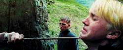filthymudblood:  ‘Not good, brilliant.’ 