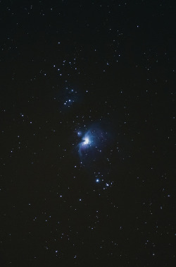astronomynerd:  M42 - 09/01/2013 by Gnu2000 on Flickr.