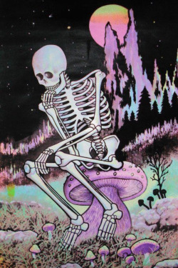 t a y l o r
