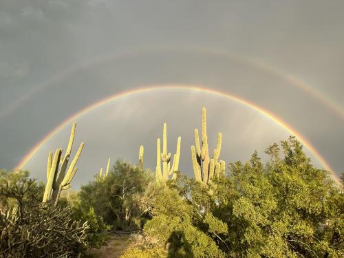 amazinglybeautifulphotography:  Marana, Arizona, Double Rainbow