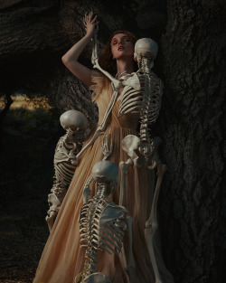 blackwood-asylum:  “Borrowed Bones” - @alexstoddard 