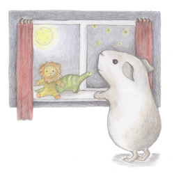 lauracraggs:  Night Time Guinea Pig Watercolour pencil and graphite