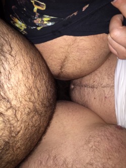 bostonbear888:Bellies galore!!!