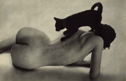 ilconte71:   Peter Martin  