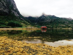 expressions-of-nature:  by Stefano Milini ( instagram )Lofoten,