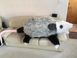 snootyfoxfashion:Gigantic Possum Plush from gopossum Do you