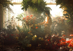 driflloon:  botanical boudoir: for the green gallery fall / winter