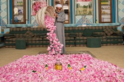 saudi-post:  Taif Rose Festival