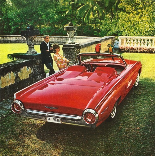 vanderbeer:  1963 Ford Thunderbird Sports Roadster (USA) by IFHP97 on Flickr.