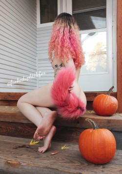 fuckeduplittlefox:  A foxy photo from last fall 🦊🎃🍁
