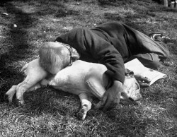 Brian Seed - A man and his dog sleeping in Hyde park.