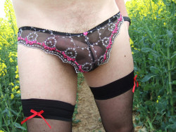 wonkywilly:sissyfying outdoor..