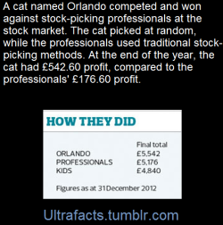 ultrafacts:  Each team invested a notional £5,000 in five companies