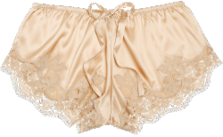 transparent-lingerie: Dolce & Gabbana, satin short 