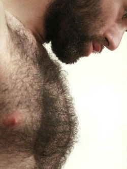tantalus69:  Axiom: Furry chest   furry face = hair stuck in