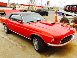 69mustangfanatic:  My 1969 Grande