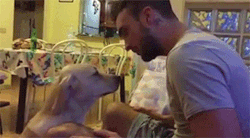 fractalacidfairy:  sizvideos:  Dog desperately asking for forgiveness.