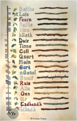 worldofcelts:  dutchpagan:  The wisdom of the ogham trees is
