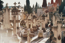 thealienemily:   	Cemetery - Florence. by Samantha Tirabasso
