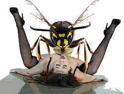 locoraptus:  Wasps are mean, and so is their reproduction