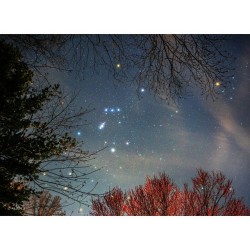 Orion Spring #nasa #apod #orion #constellation #nebula #alphatauri