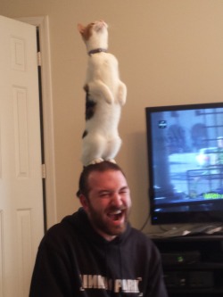 unimpressedcats:  My husband looks like he’s laughing, but